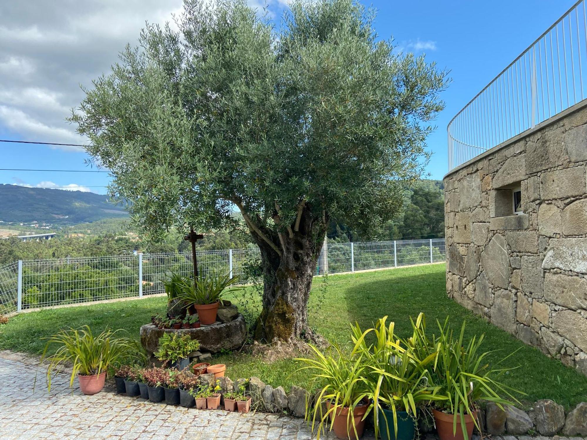 Casa Da Gandara Villa Ponte de Lima Luaran gambar